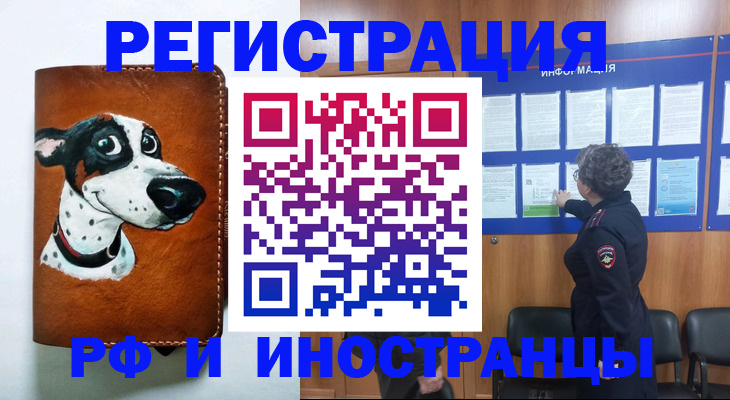 временная регистрация законно в Ельне